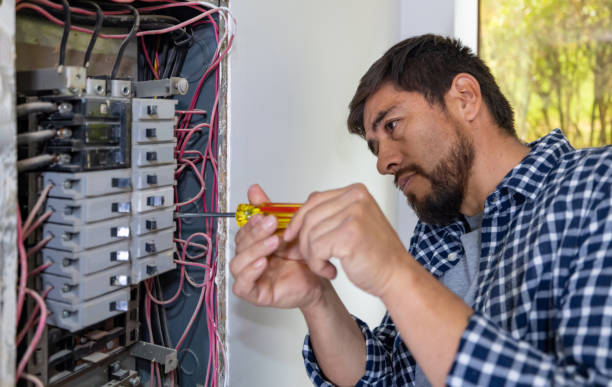Best Electric Panel Repair  in Pine Lawn, MO